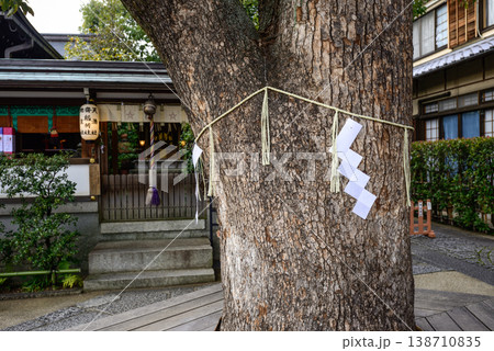晴明神社　御神木　楠 138710835