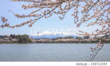 桜満開 春の勢至公園と鳥海山 秋田県 桜満開 春の勢至公園と鳥海山 秋田県 138711433