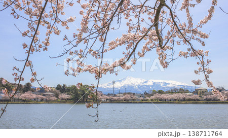 桜満開 春の勢至公園と鳥海山 秋田県 桜満開 春の勢至公園と鳥海山 秋田県 138711764