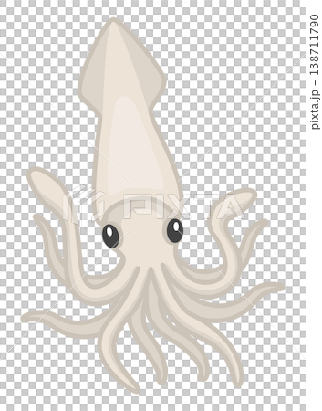 簡單可愛的魷魚圖 簡單可愛的魷魚圖 138711790