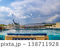 沖縄美ら海水族館のイルカショー 138711928