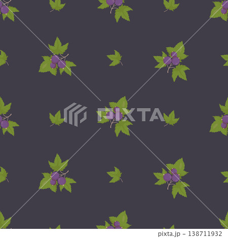 Blackcurrant Berry Seamless Pattern on Dark Graphite Background. Vector Botanical Illustration with Leaves and Branches. Square template Ornament 138711932