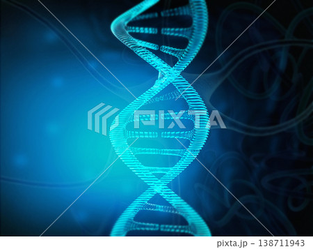 Dna structure 138711943