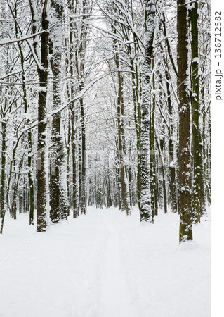 Winter forest and the road. Winter landscape Winter forest and the road. Winter landscape 138712582