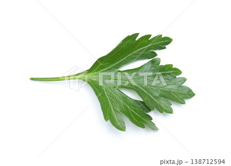 Fresh parsley leaf.  Parsley leaf isolated on white. 138712594