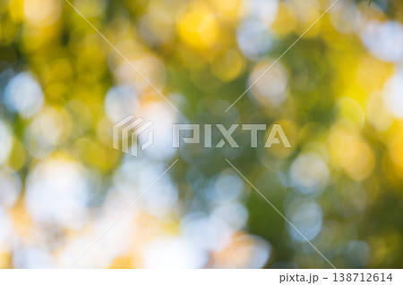 natural green background. background in green colors, the bokeh effect natural green background. background in green colors, the bokeh effect 138712614