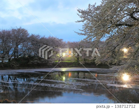 桜咲く磯沼公園の夜景3 桜咲く磯沼公園の夜景3 138712712