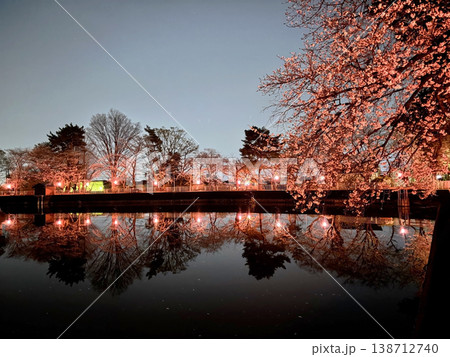 伊勢崎市華蔵寺公園の夜桜4 138712740