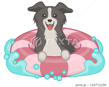 浮き輪で水遊びするボーダーコリーのベクターイラスト 138713290