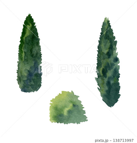 Tall cypress or poplar with narrow tapering crown and calm southern landscape mood. Hand drawn watercolor illustration for vineyard visuals, landscape, travel materials, sustainable design concepts. Tall cypress or poplar with narrow tapering crown and calm southern landscape mood. Hand drawn watercolor illustration for vineyard visuals, landscape, travel materials, sustainable design concepts. 138713997