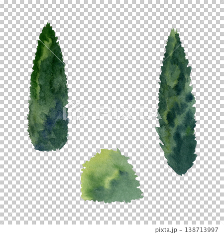 Tall cypress or poplar with narrow tapering crown and calm southern landscape mood. Hand drawn watercolor illustration for vineyard visuals, landscape, travel materials, sustainable design concepts. Tall cypress or poplar with narrow tapering crown and calm southern landscape mood. Hand drawn watercolor illustration for vineyard visuals, landscape, travel materials, sustainable design concepts. 138713997