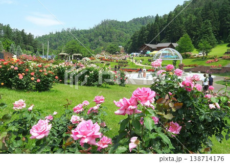 花に満ちたバラ公園の風景 花に満ちたバラ公園の風景 138714176