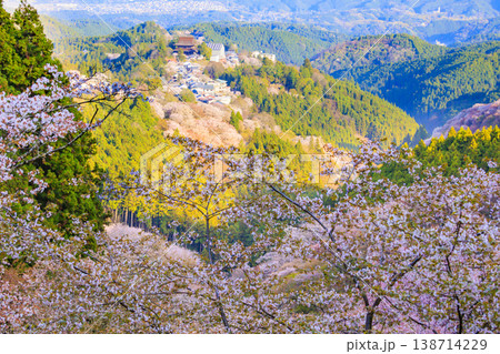 桜満開の世界遺産　早朝の吉野山　 138714229