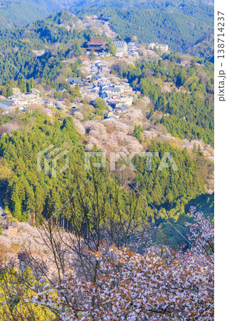 桜満開の世界遺産　早朝の吉野山　 138714237