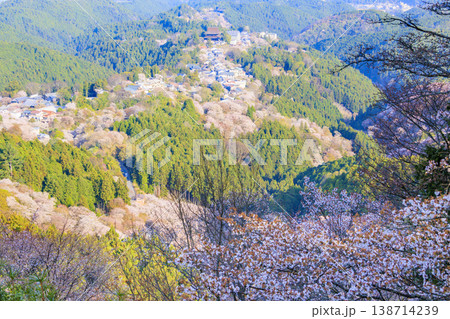 桜満開の世界遺産 早朝の吉野山 桜満開の世界遺産 早朝の吉野山 138714239