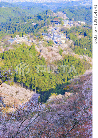 桜満開の世界遺産　早朝の吉野山　 138714241