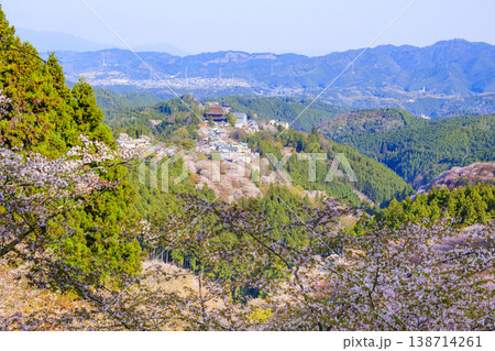 桜満開の世界遺産 早朝の吉野山 桜満開の世界遺産 早朝の吉野山 138714261