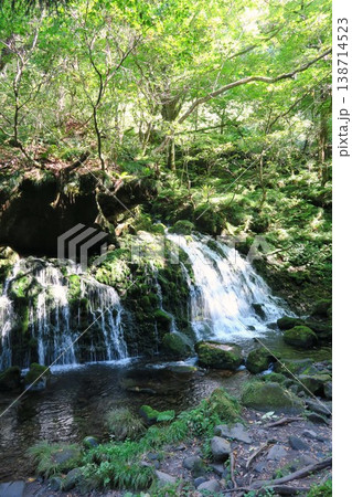 秋田県 本滝伏流水 138714523