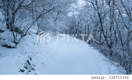 Taebaeksan Taebaeksan 138715348