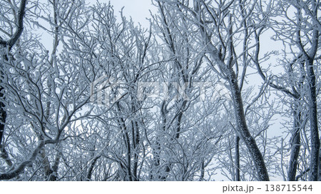 Taebaeksan 138715544