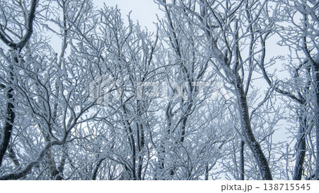 Taebaeksan 138715545