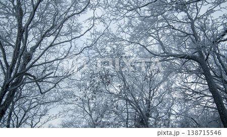 Taebaeksan 138715546