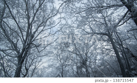 Taebaeksan 138715547