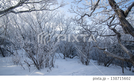 Taebaeksan Taebaeksan 138715602