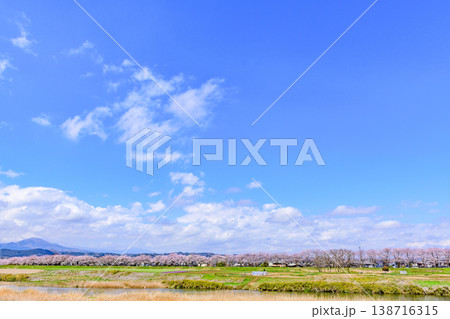 おおがわら桜ライン 河川公園を歩く 138716315
