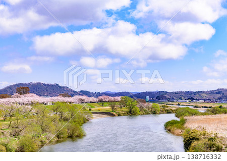 おおがわら桜ライン 河川公園を歩く おおがわら桜ライン 河川公園を歩く 138716332