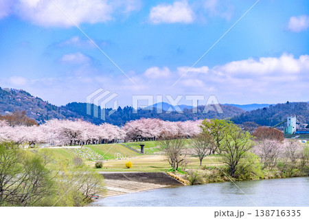 おおがわら桜ライン 河川公園を歩く おおがわら桜ライン 河川公園を歩く 138716335