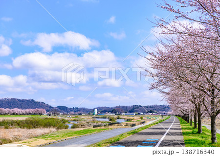 おおがわら桜ライン 河川公園を歩く 138716340