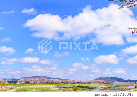 おおがわら桜ライン 河川公園を歩く おおがわら桜ライン 河川公園を歩く 138716345
