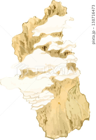 白く清らかな万年タケの博物図素材 138716473
