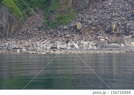 北海道斜里町　知床半島でクルーズ船からヒグマウォッチング 138716899