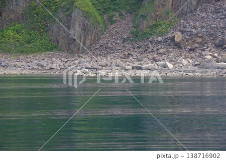 北海道斜里町 知床半島でクルーズ船からヒグマウォッチング 北海道斜里町 知床半島でクルーズ船からヒグマウォッチング 138716902