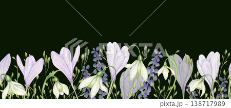 Light purple crocuses, white snowdrops, green leaves seamless border watercolor illustration on dark background. Floral pattern with spring flowers for holiday card design. Nature concept. 138717989