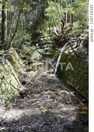 森の中の朽ちた水路 138718385