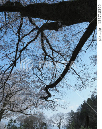 桜のある風景 桜のある風景 138718390
