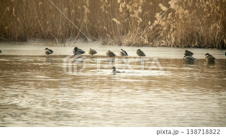 Hwarang Lake 138718822