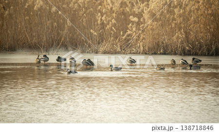 Hwarang Lake Hwarang Lake 138718846