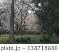 桜のある風景 138718886