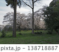 桜のある風景 138718887