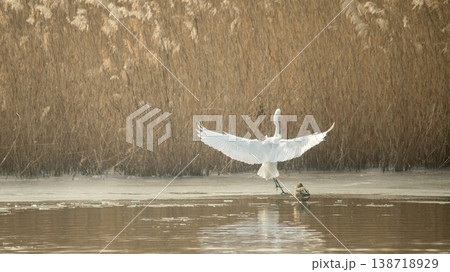 Hwarang Lake 138718929