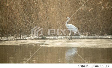 Hwarang Lake 138718945