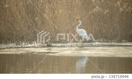 Hwarang Lake 138718946