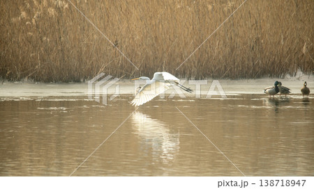 Hwarang Lake 138718947
