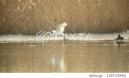 Hwarang Lake 138718948