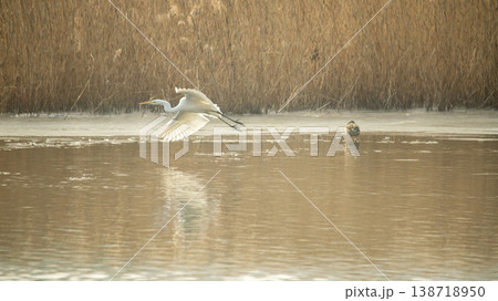 Hwarang Lake 138718950