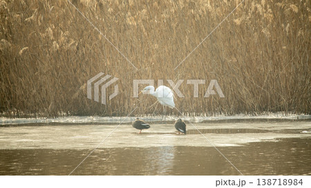 Hwarang Lake Hwarang Lake 138718984
